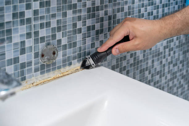 Professional Mold Removal in Greenville, SC